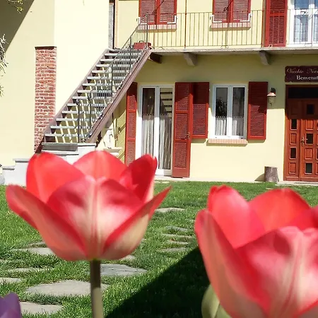 Vecchio Novecento 宾馆 Grosso